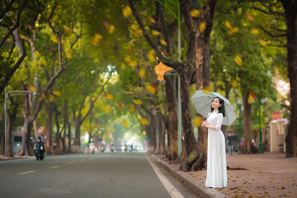 Phố Phan Đình Phùng 4