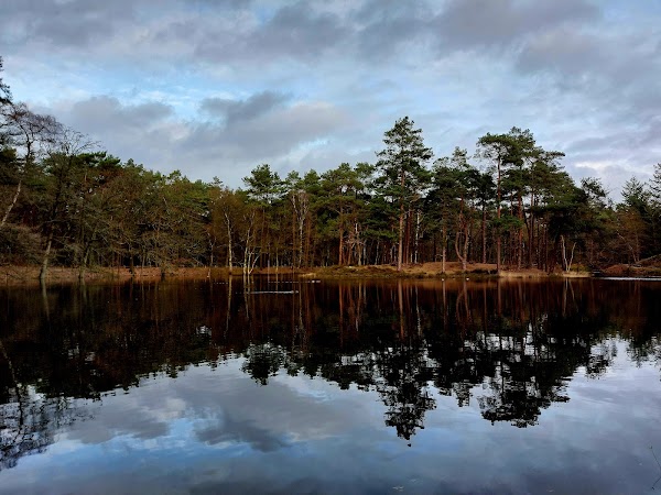 Bornia - Utrechtslandschap 3