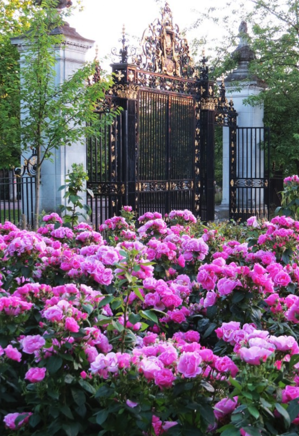 Queen Mary's Rose Gardens 5