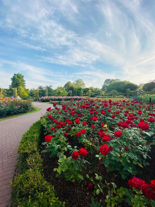 Queen Mary's Rose Gardens 2