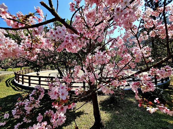 Qianshan Park 4