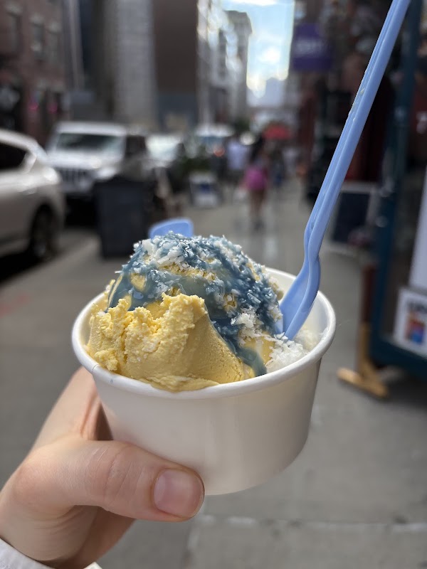 COCONUT ICE CREAM SHOP (COCO BOYS NYC) 5