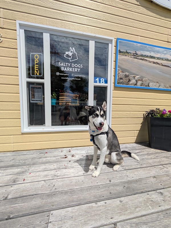 Salty Dogs Barkery 3