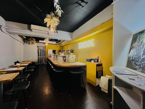 Dorobune Lesbian bar 2