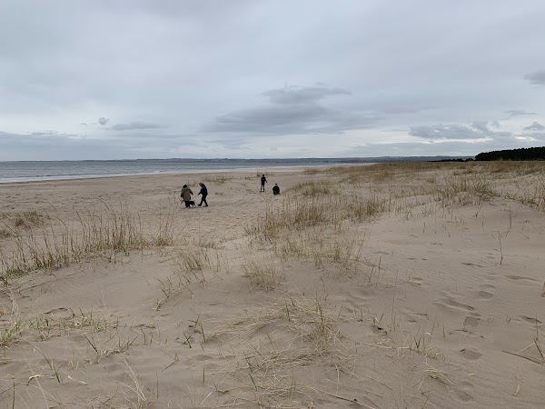 Tentsmuir Forest 4