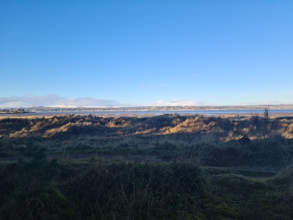 Tentsmuir Forest 3