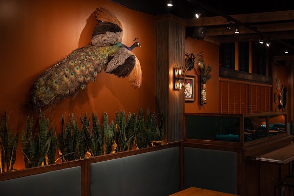 Soul Gastrolounge 1