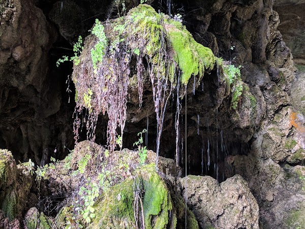 Hamilton Pool Preserve 3