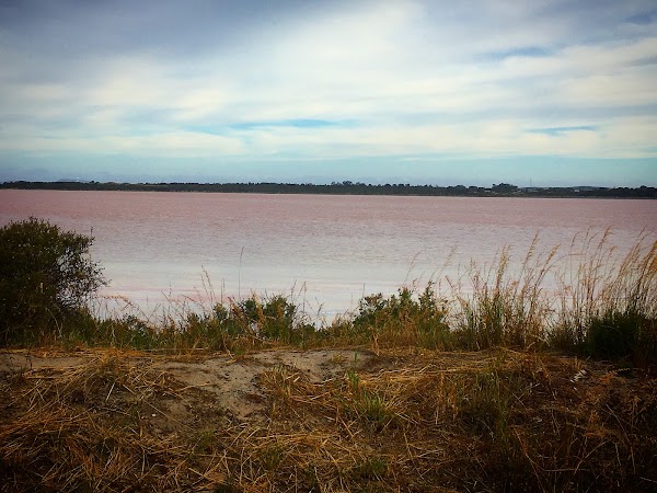 Lake Warden