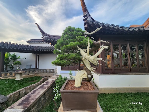 Bonsai Garden