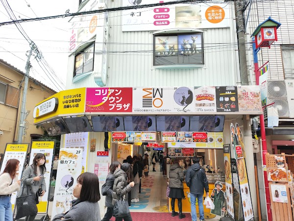 KT・PLAZA