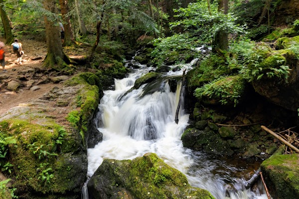 Ravenna Gorge 4