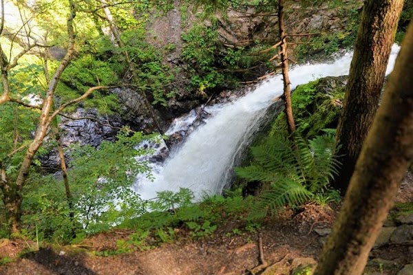 Ravenna Gorge 3