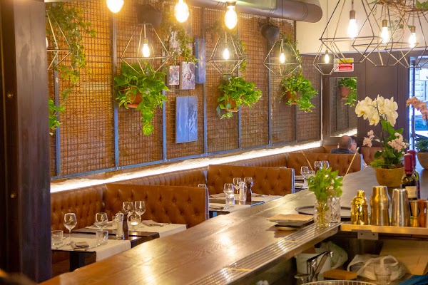 Rooster Cafe Firenze