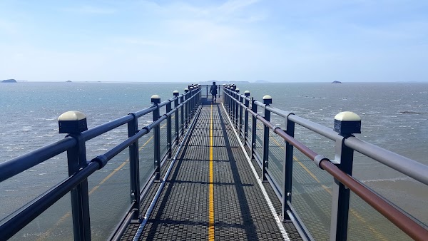 Janghang Skywalk 1