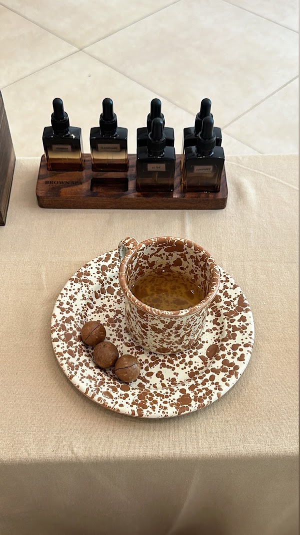 BROWN SPA 2