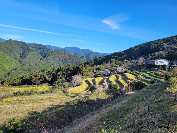 Kumano-Kodo Nakahechi Route (Chikatsuyu-Oji - Kobiro-Oji Section) 5