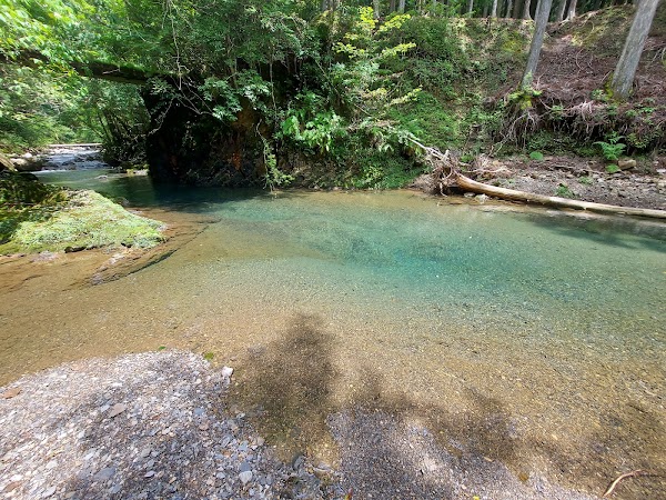 Kumano-Kodo Nakahechi Route (Chikatsuyu-Oji - Kobiro-Oji Section) 2