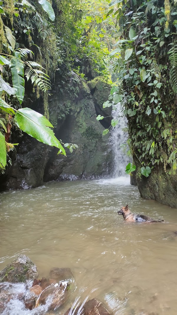 Tarabita Mindo a las Cascadas 1