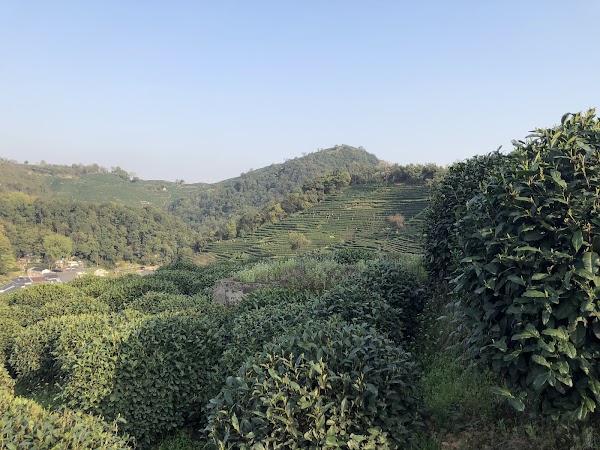 Hangzhou Longjingshan Park 1
