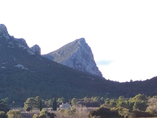 Pic Saint-Loup 1