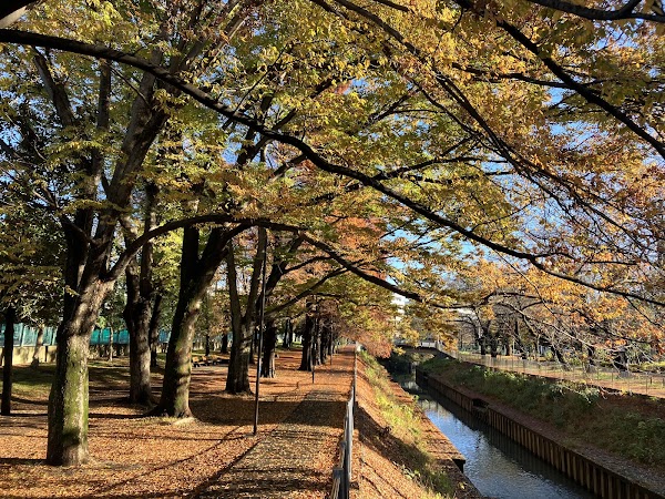 Zenpuku-ji River Green Space 3