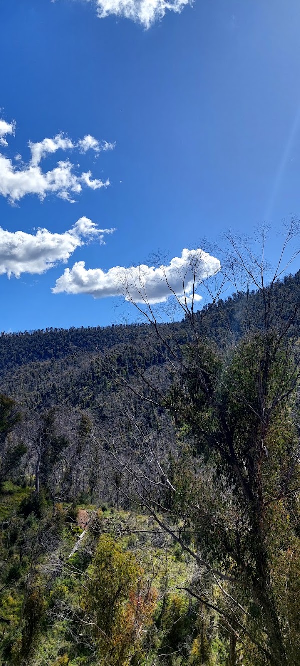 Thermal Pool Trail 2