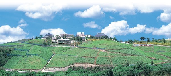Katsunuma Budou no Oka