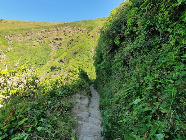 National Trust - Lantic Bay 3