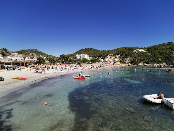 Platja de Camp de Mar