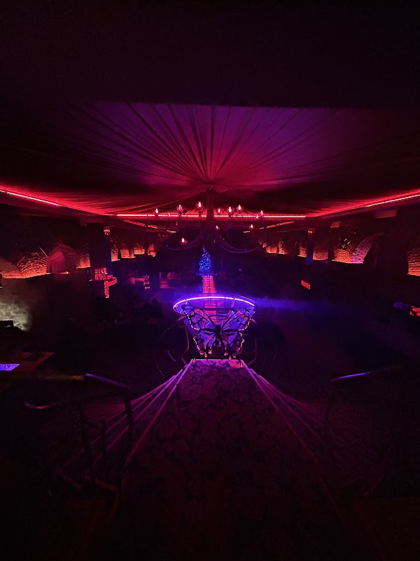Show Girls Tbilisi - night club 18+