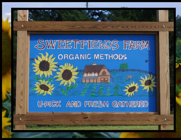 Sweetfields Farm