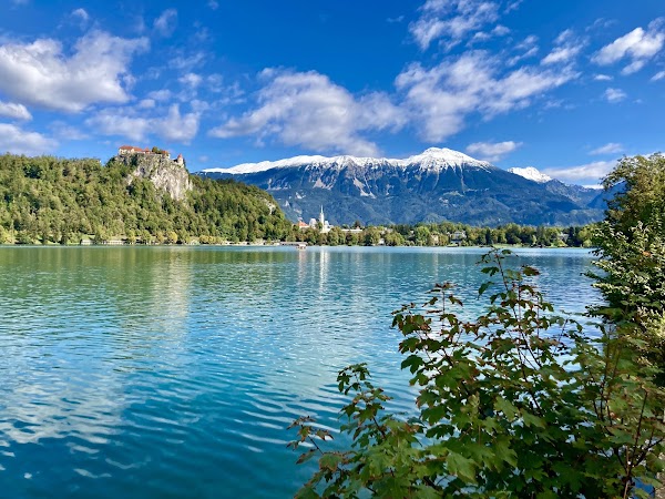Lake Bled Lookout Point 4