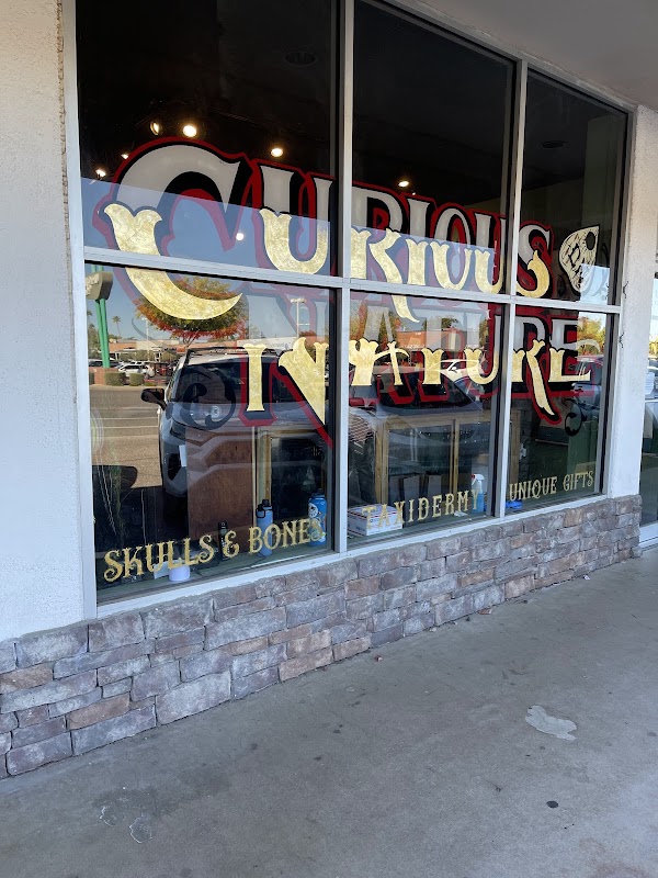 Curious Nature 1