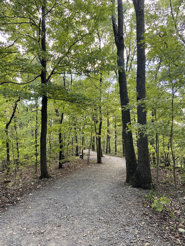 Hawn’s Overlook 5