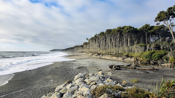 Maori Beach 1