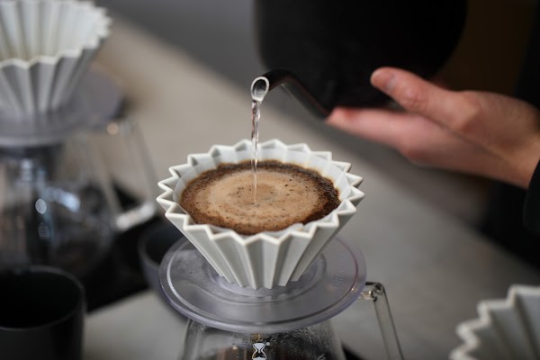 COFFEE GALLERY 5