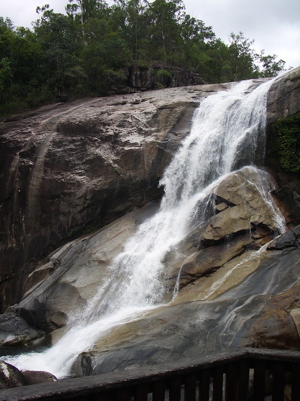 Paluma