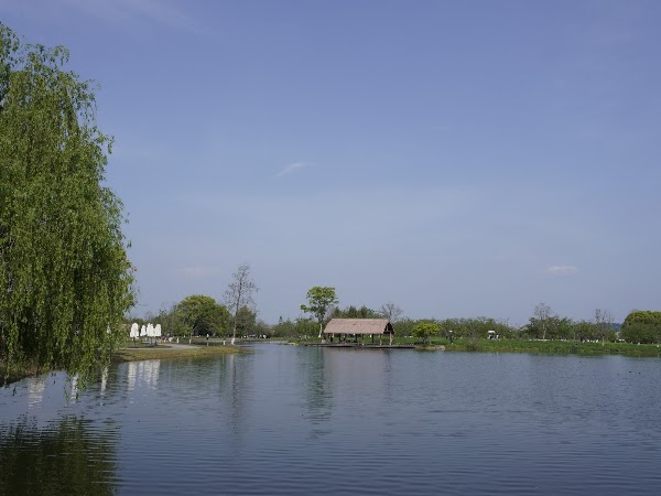 Liangzhu Ancient City Heritage Park 4