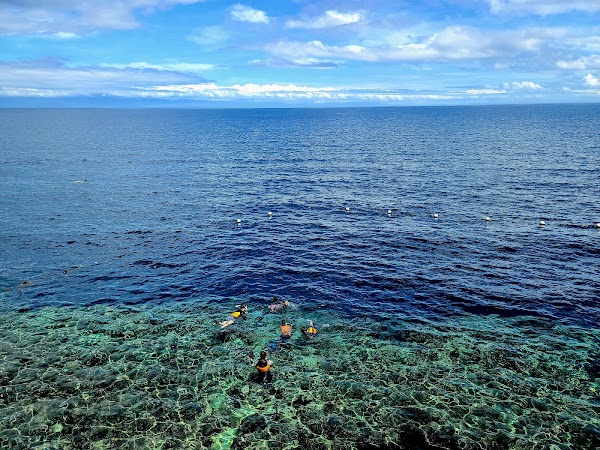 Napaling Reef 2