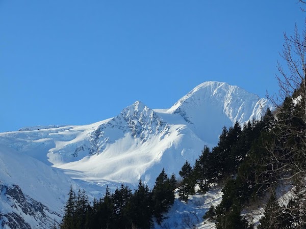 Byron Glacier Trail 3