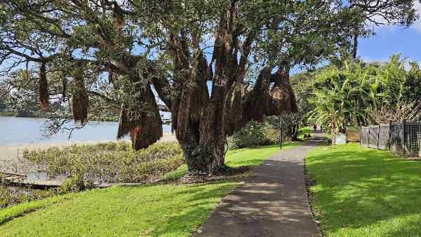 Orewa Estuary Reserve 5