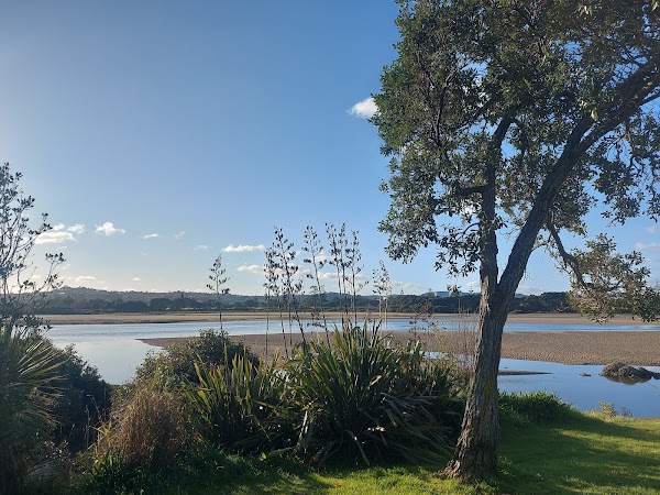 Orewa Estuary Reserve 4