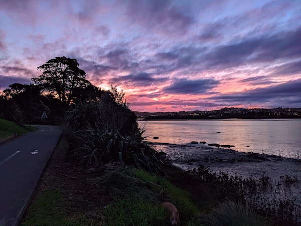 Orewa Estuary Reserve 3