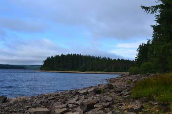 Kielder