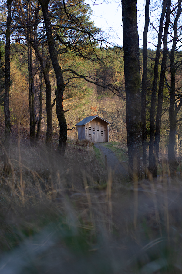 Kielder 2