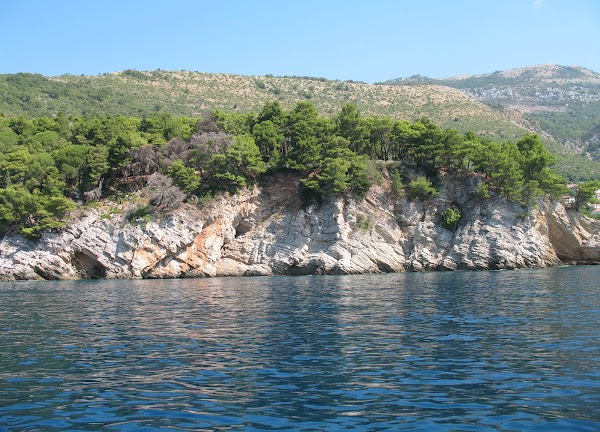 Sveta Neđelja 2