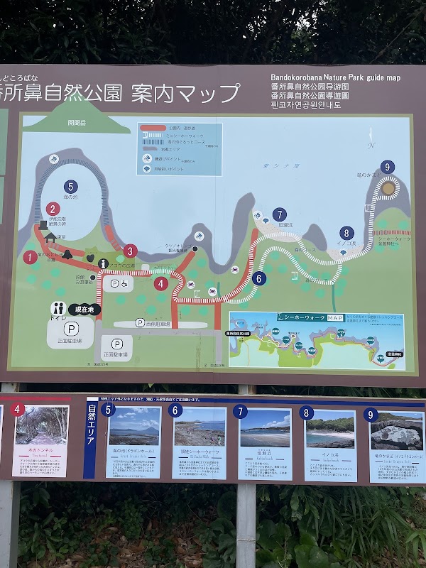 Bandokorobana Nature Park 5