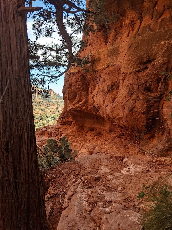 Cathedral Rock Trail 5