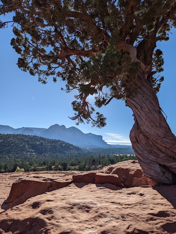Cathedral Rock Trail 3